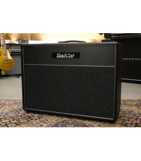 BAD CAT Hot Cat 2x12 Open...